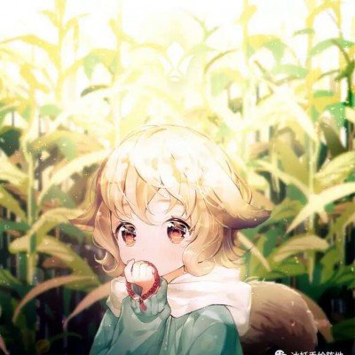 伊朗：美以迎来“黑色耻辱星期五”